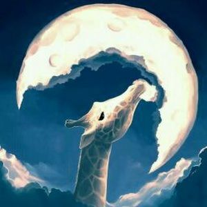 Meet your Posher, Torres